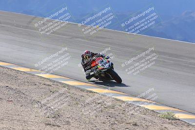 media/Dec-15-2023-Apex Assassins (Fri) [[91f19fb1c7]]/Trackday 1/Session 2 (Bowl)/